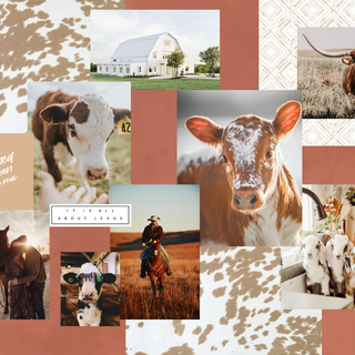 Cow collage