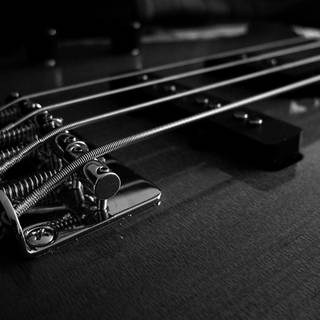 Bass Guitar