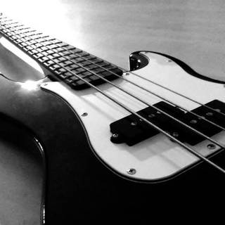 Black and White Bass