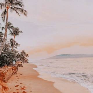 Beach Vibes:)