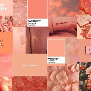 Coral Pink Collage 