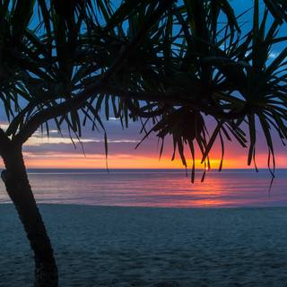 Summer Sunset by the beach:)