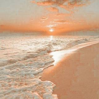 #Pretty Sunset:) #Tropical & Beachy Vibes:)