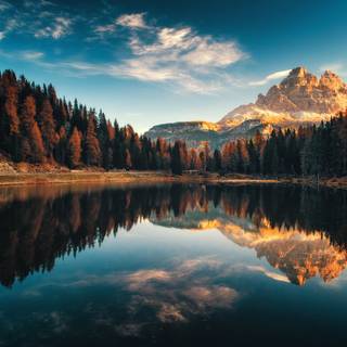 Nature HD background Wallpaper Download - Rahul Loyal Dalmas