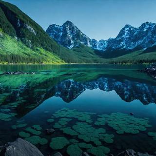 Mossy Mountain Lake Artwork