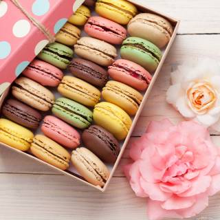 macarons