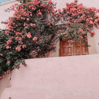 flower hangover wall