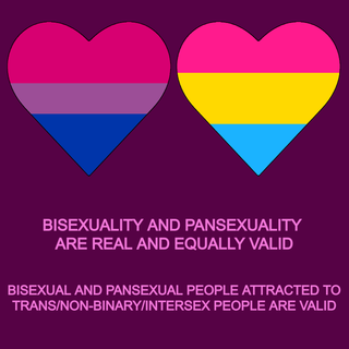 bi and pan flag mix for yall