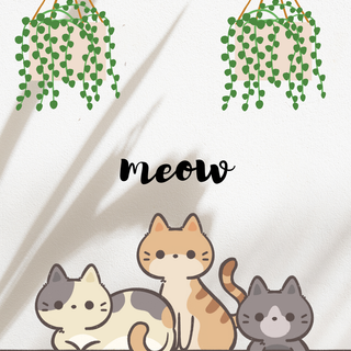Meow cat wallpaper