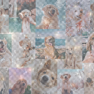 Aesthetic cute doggy background collage