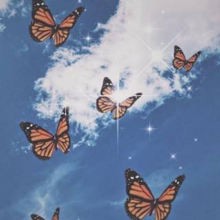 butterfly wallpaper 