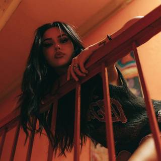 شيني بلانتي