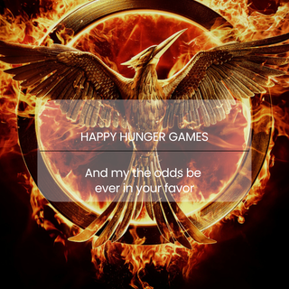 Hunger games lock screen