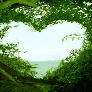 Heart greenery