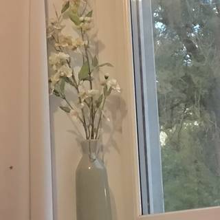 Blossom flowers cute