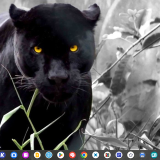 which one should i keep?