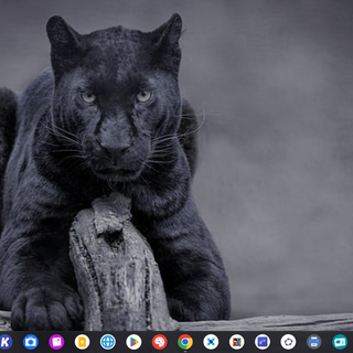 which one should i keep?