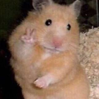 peace sign hamster
