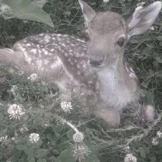 ˚₊‧꒰ა ☆ ໒꒱ ‧₊˚˚