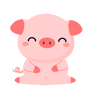 Pig/ Farm Animal