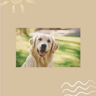 {another thing idk what they are called pls tell me}