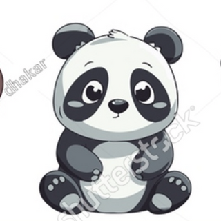 Cute Panda Animal