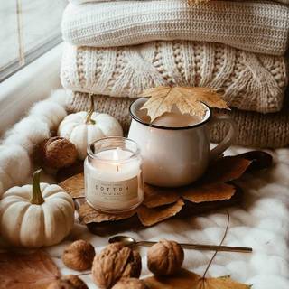 Aesthetic Fall Vibes