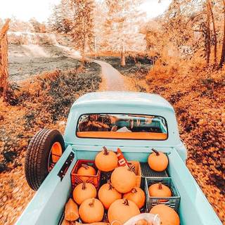 #Fall vibes