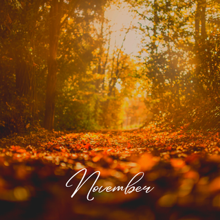 November Wallpaper