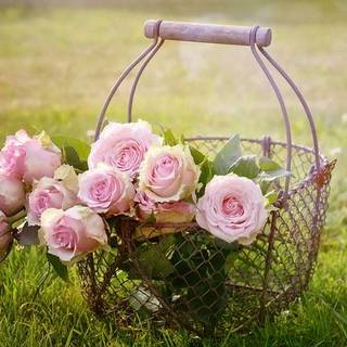 Flowers in Basket
