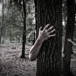 Behind you, Desktop wallpaper