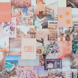 Aesthetic collage blush pink chill