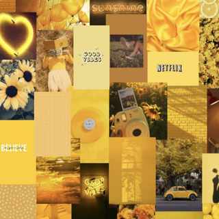 Aesthetic collage yellow sunflower