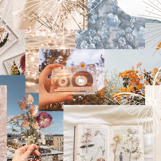 Aesthetic collage white butterfly daisy