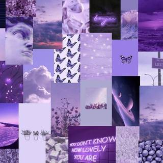 Aesthetic collage lilac purple butterfly