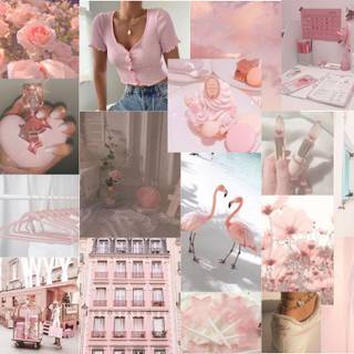 Aesthetic collage pink heart flamingo