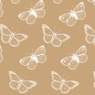 Cute butterfly Wallpaper for desktop