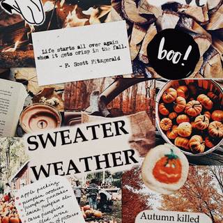 Fall Collage Wallpaper