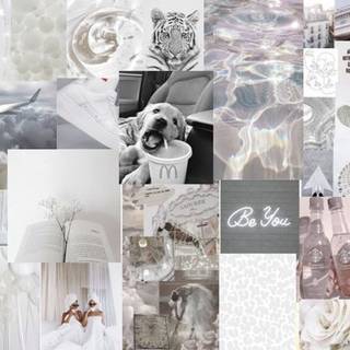 Aesthetic collage white dog
