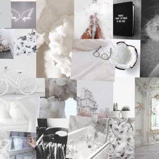 Aesthetic collage white coconut wings
