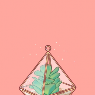 Aesthetic terrarium