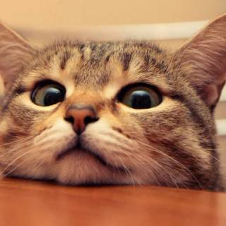 Me When I See Food I Want