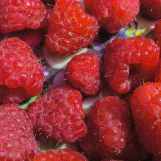 To all the raspberry fans✨