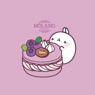 Molang with blueberry macaron