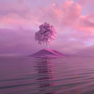 Pink island Wallpaper