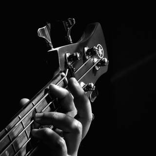 Black and White Bass