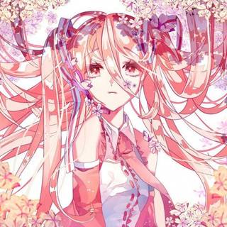 Sakura Miku Ribbon