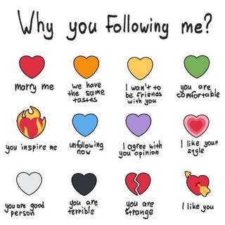 Why do you follow me..?
