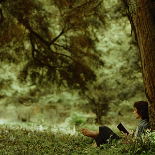 The Lord of the RIngs