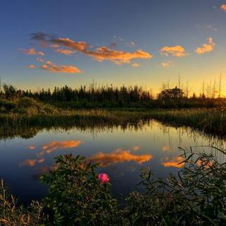 sunset at the pond